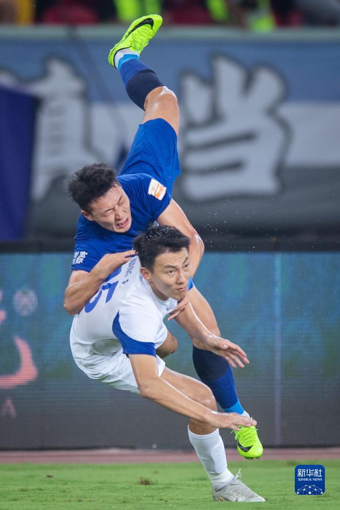 摇钱树app下载